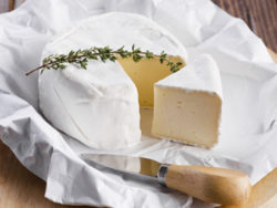 camembert